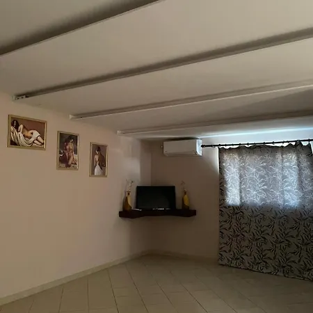 Bar Orgito *