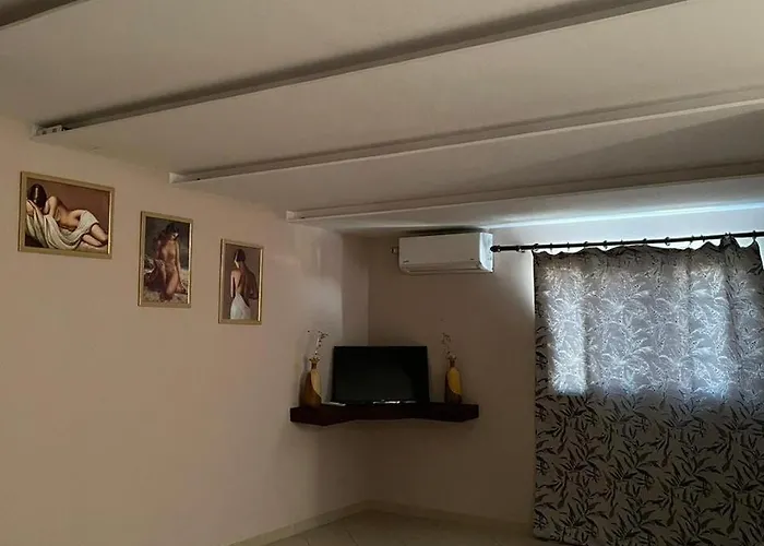 Bar Orgito *